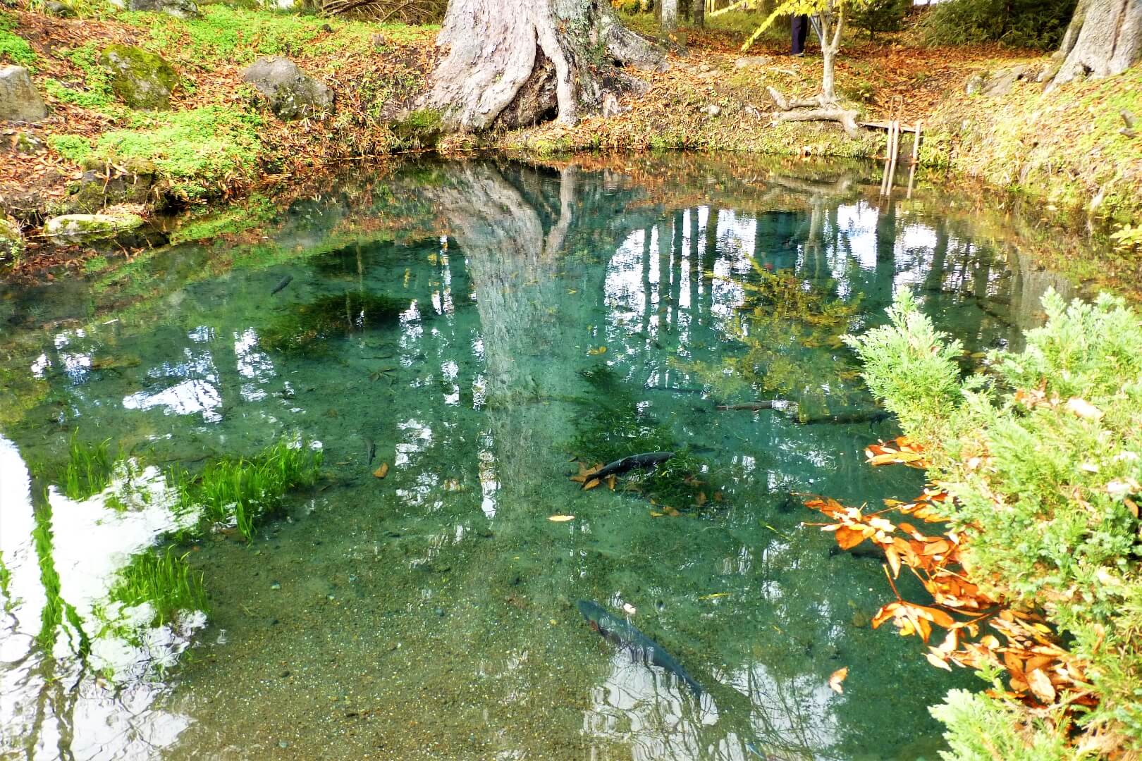 榛の木林民俗資料館 