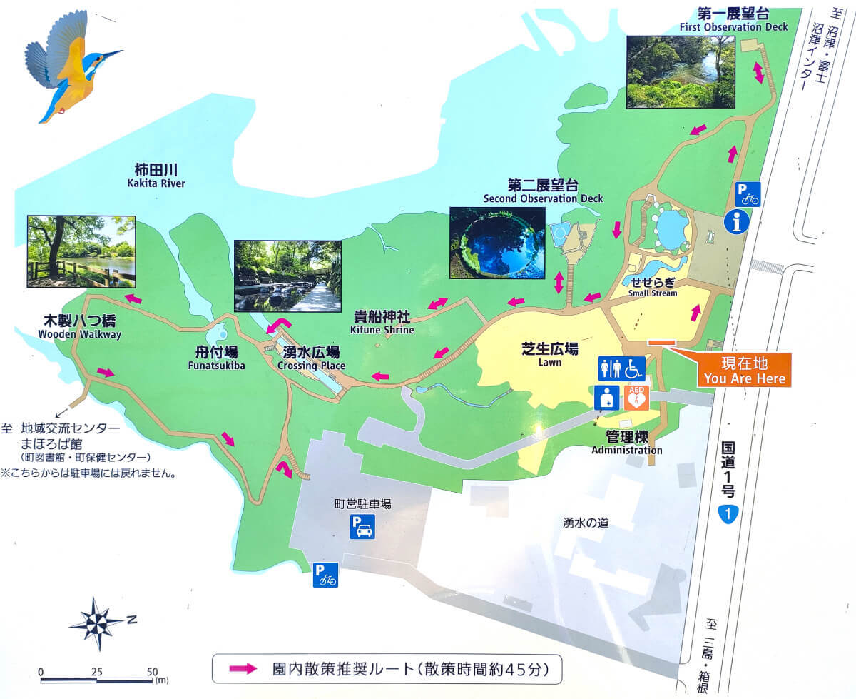 柿田川公園 看板案内図