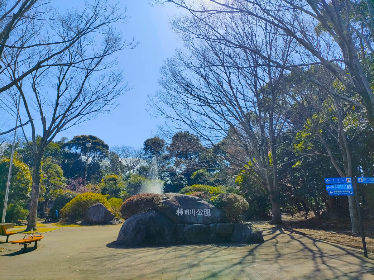 柿田川公園