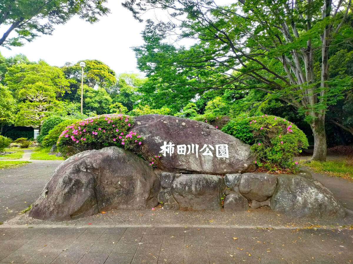 柿田川公園