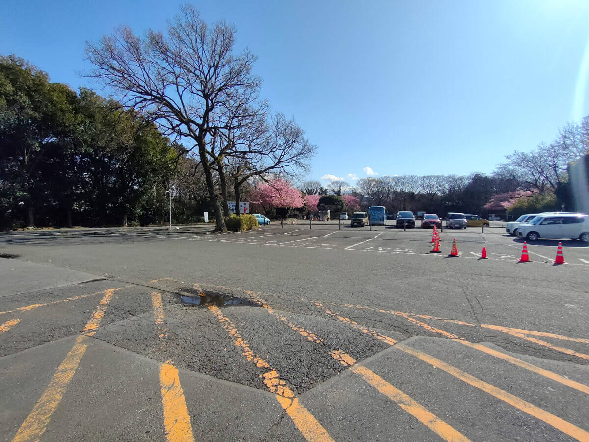 柿田川公園 駐車場