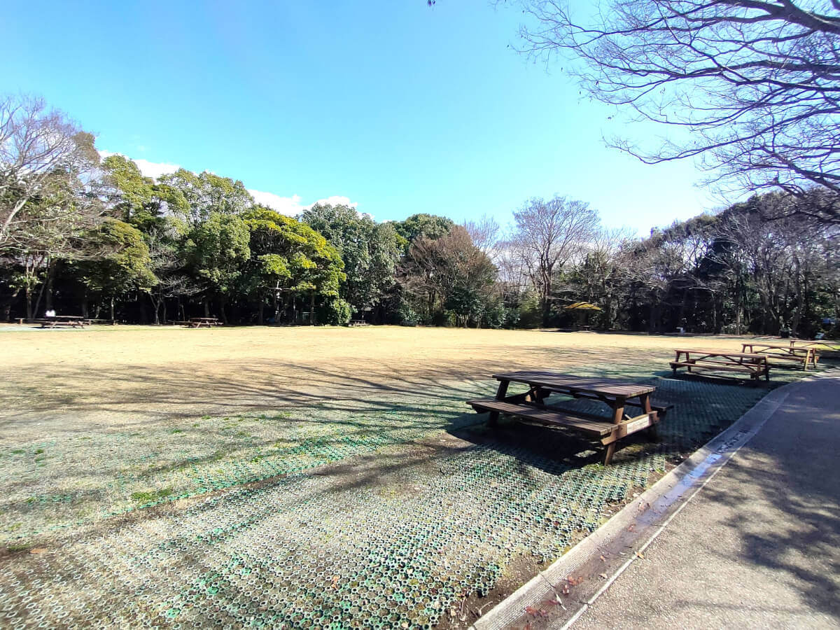 柿田川公園 