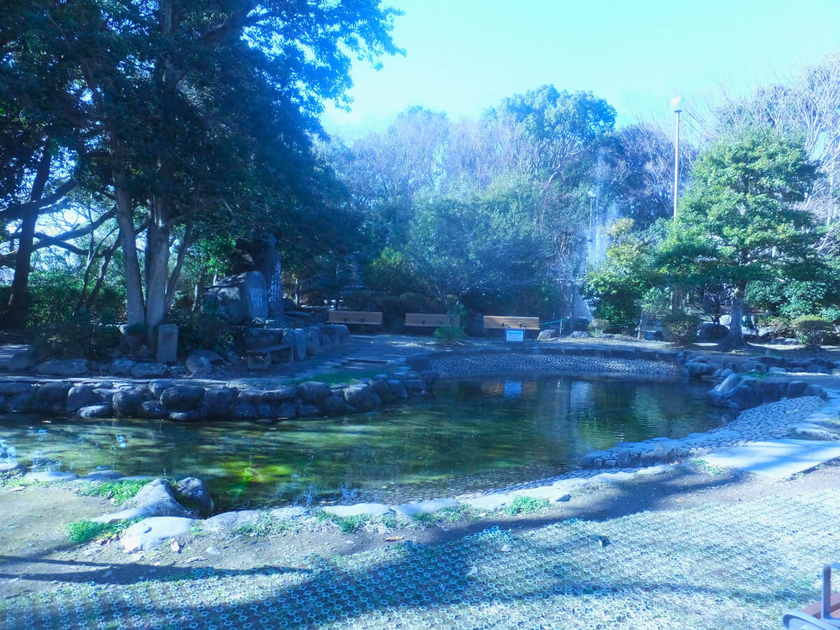 柿田川公園 せせらぎ