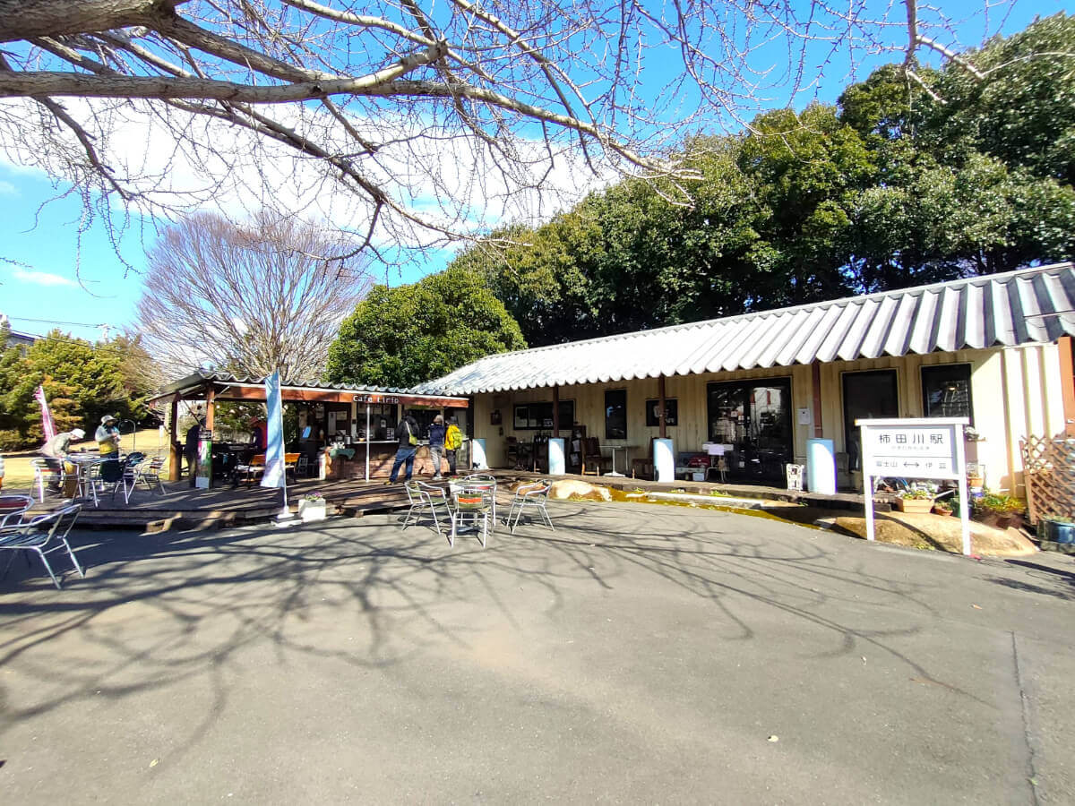 cafe Lirio カフェリリオ