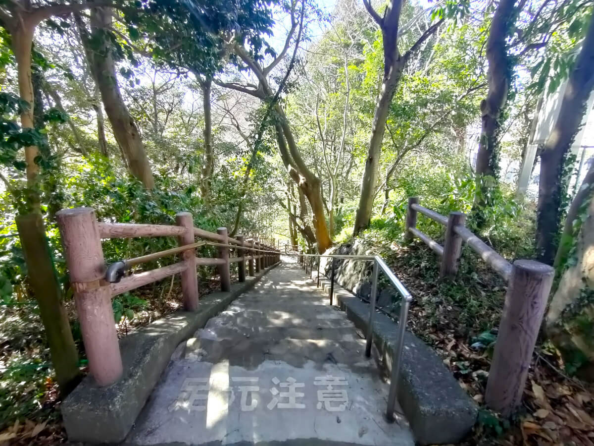 柿田川公園 第1展望台 階段