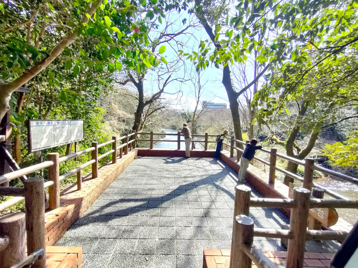 柿田川公園 第一展望台