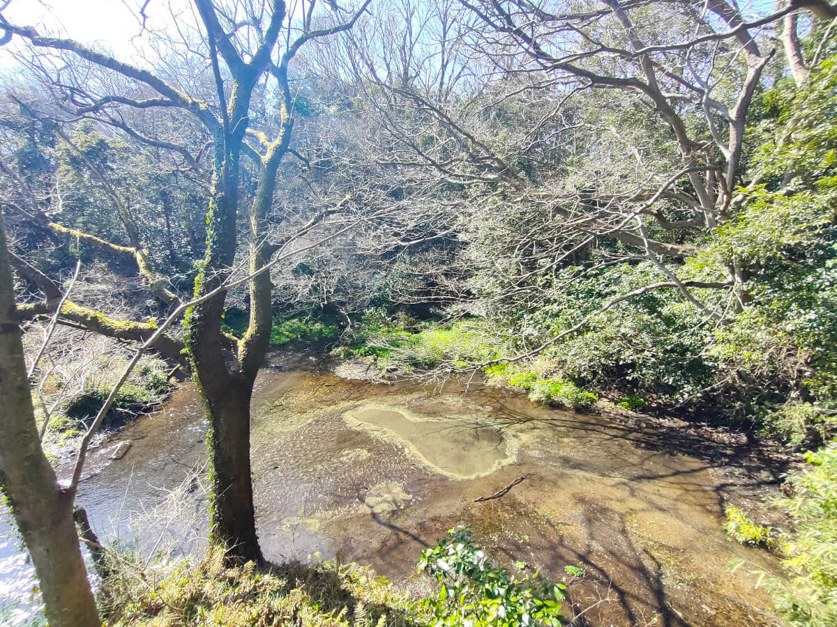 柿田川公園 第一展望台