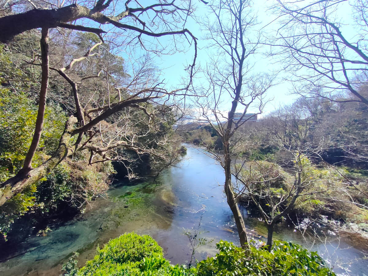 柿田川公園 第一展望台 湧き間