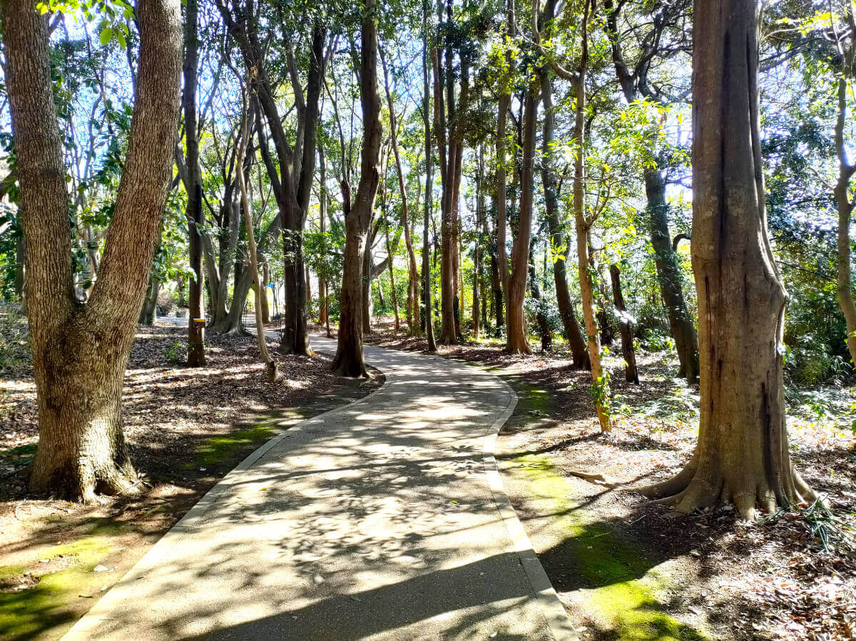 柿田川公園 散策路