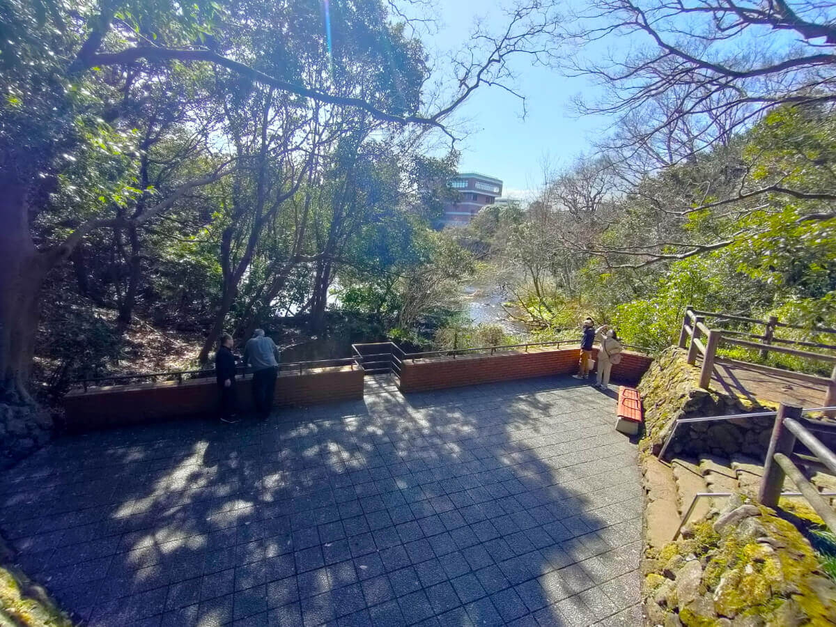 柿田川公園 第二展望台