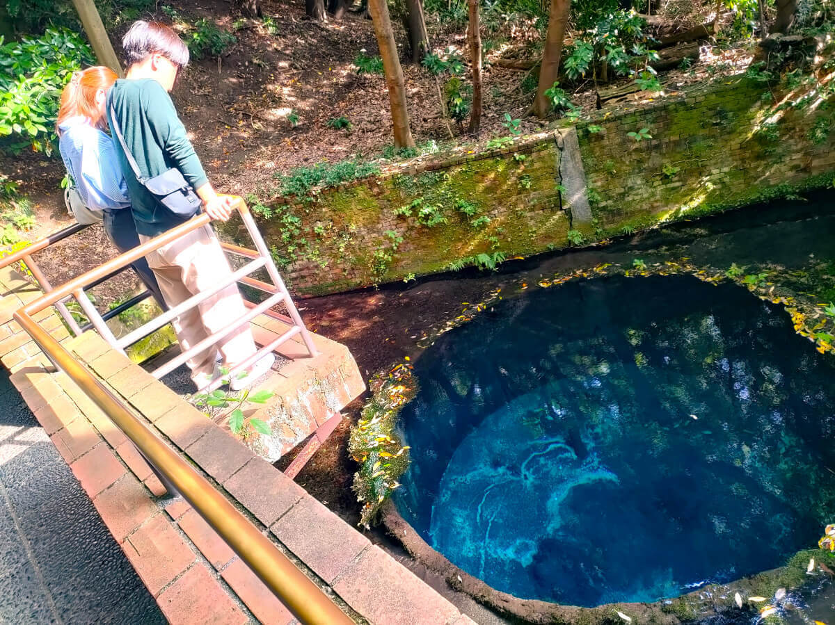 柿田川公園 第二展望台 せり出し