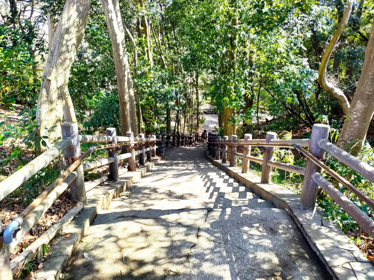 柿田川公園 階段