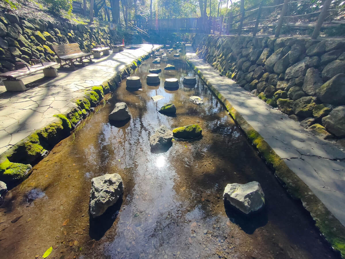 柿田川公園 湧水広場