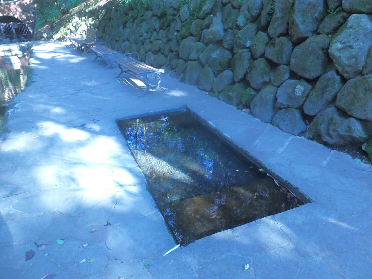 柿田川公園 湧水広場