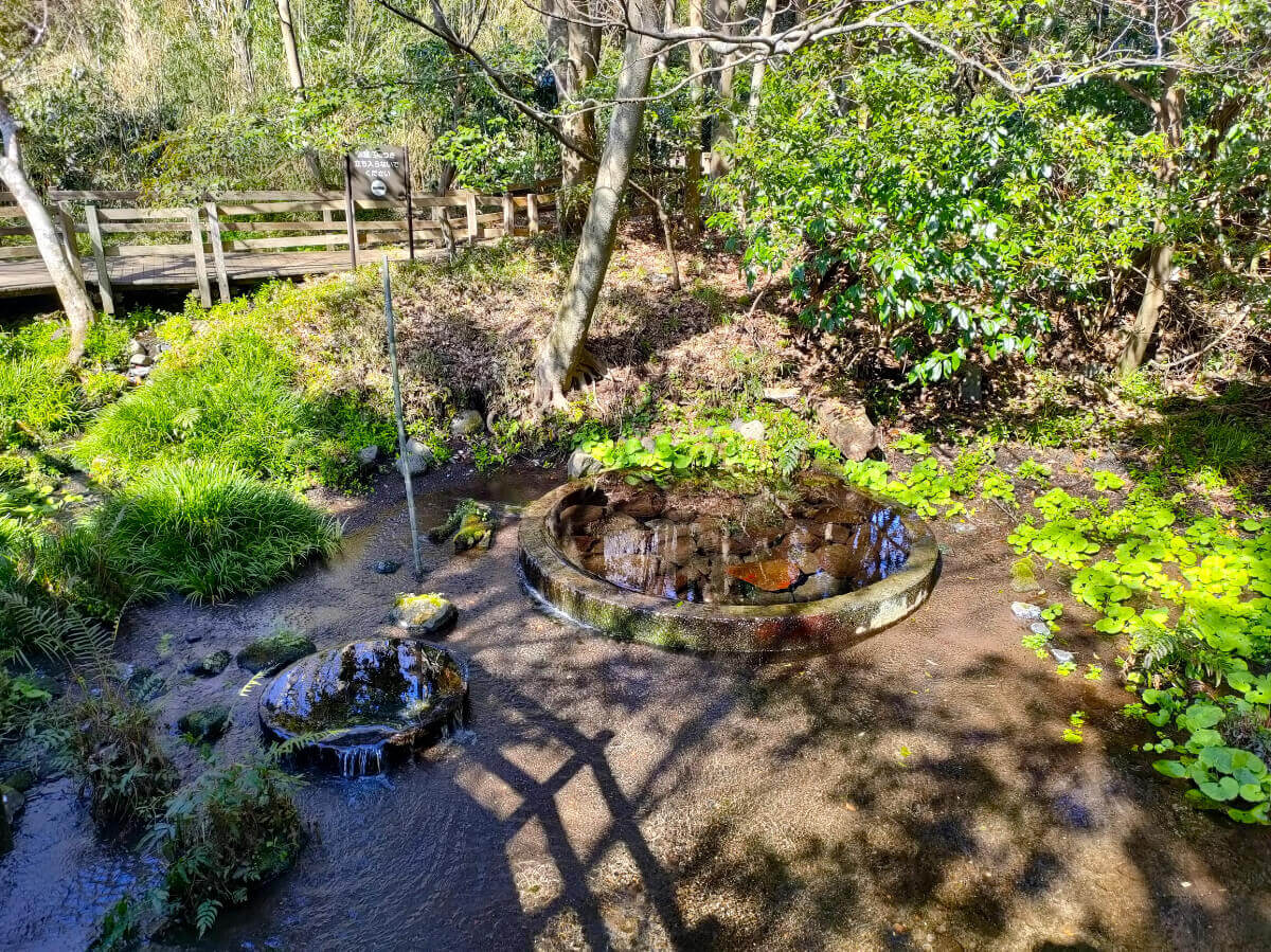 柿田川公園 舟付場