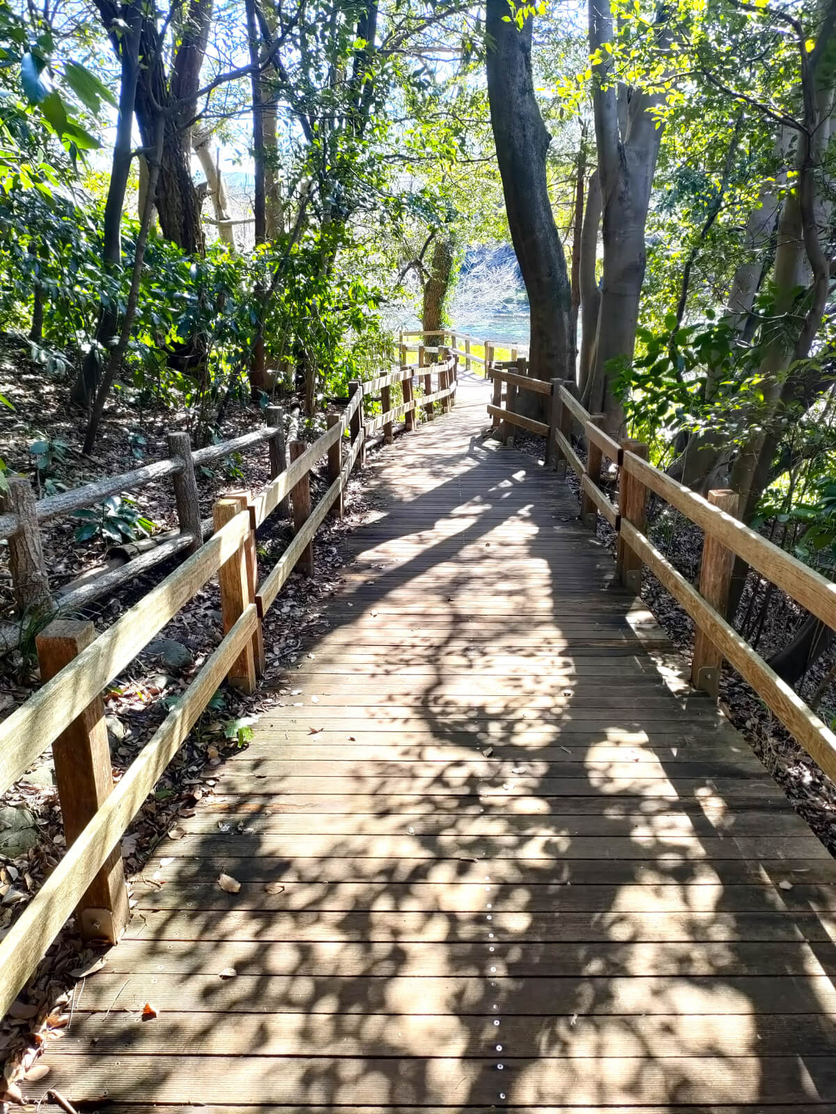 柿田川公園 木製八つ橋