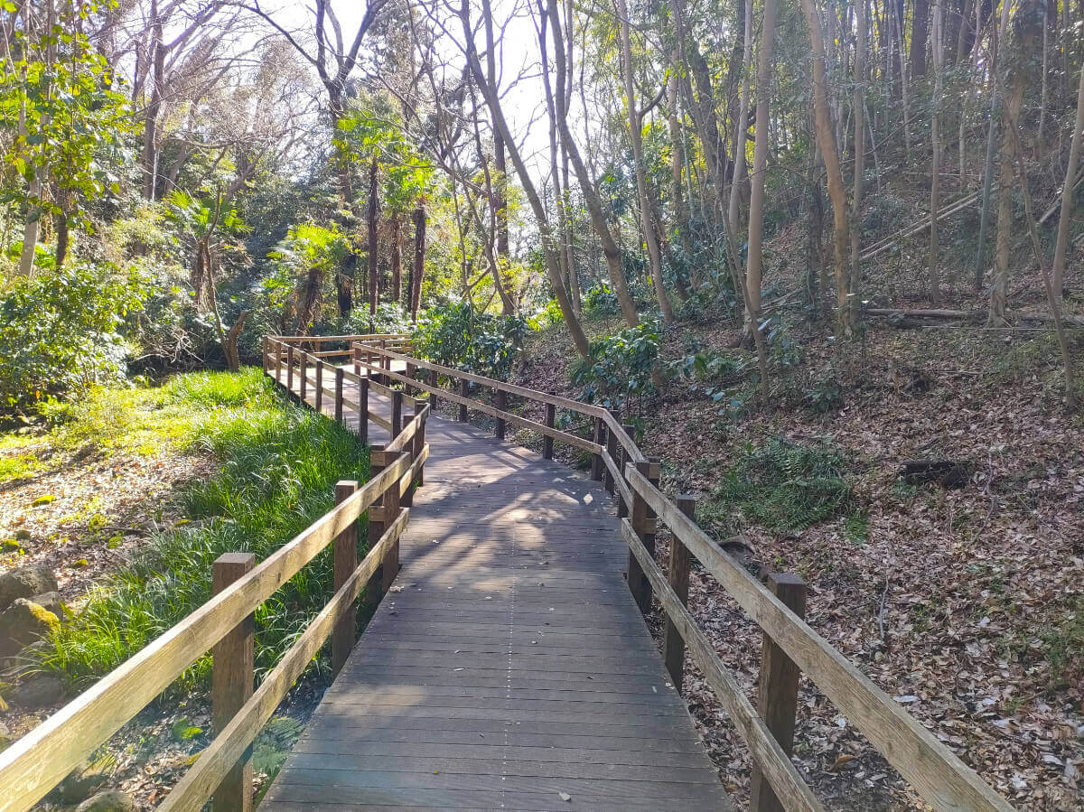 柿田川公園 散策路