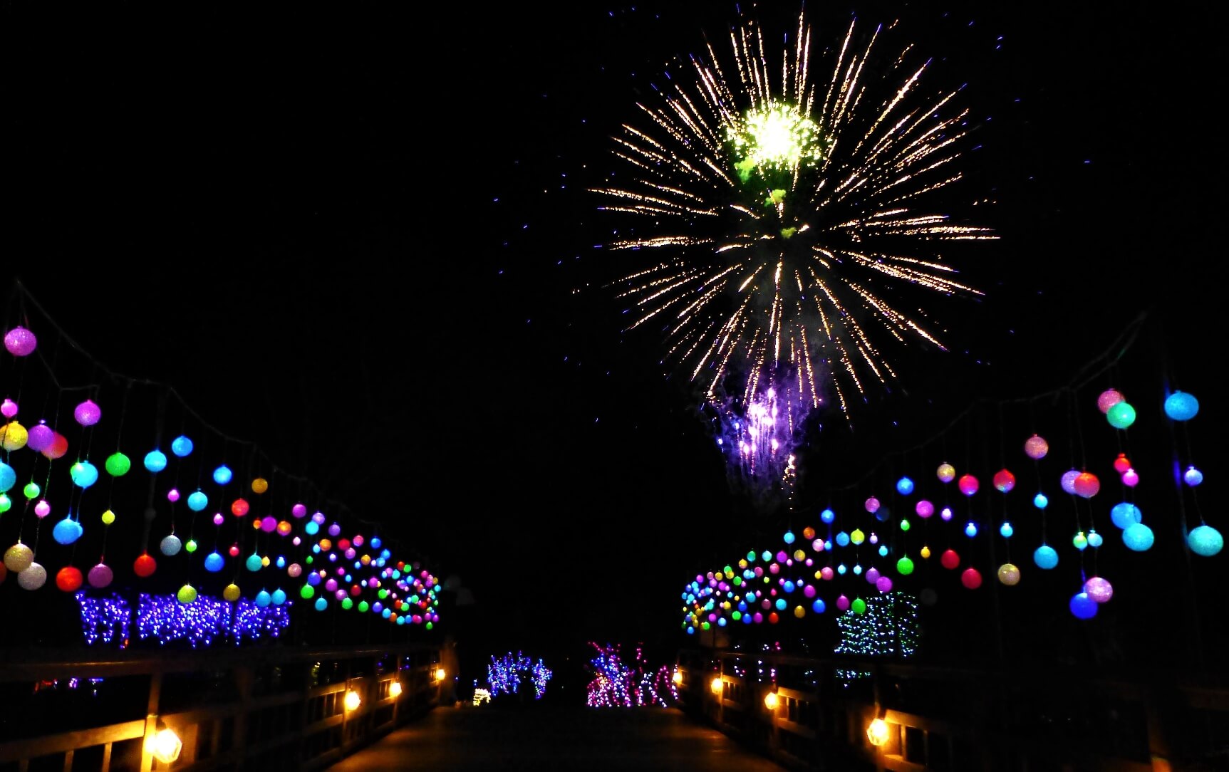 2024イルミネーション・ファンタジウム