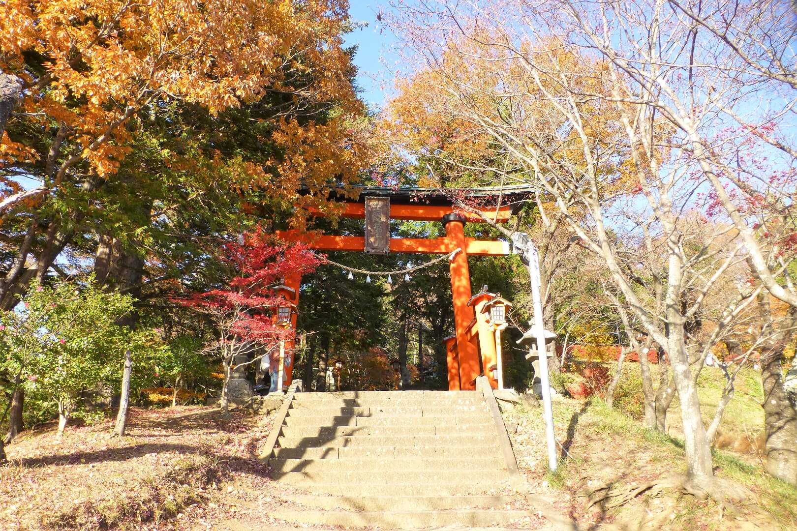 新倉山浅間公園 大鳥居