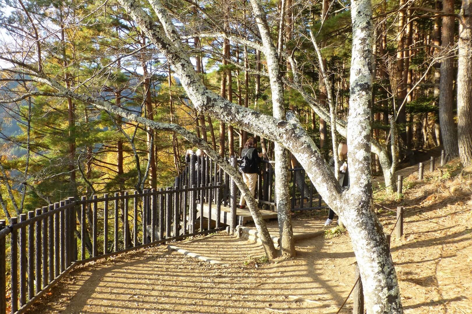 新倉山浅間公園 展望デッキからの下り階段