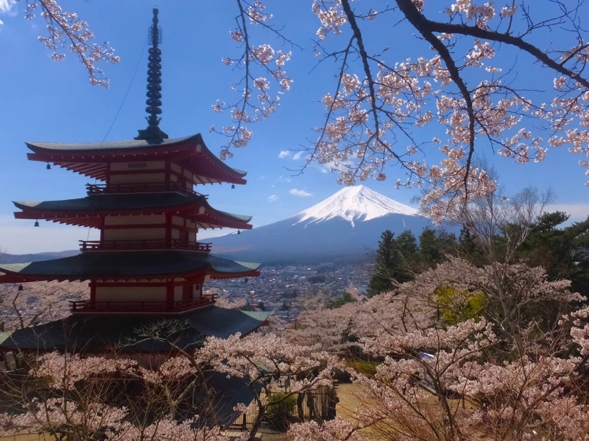 忠霊塔と富士山と桜