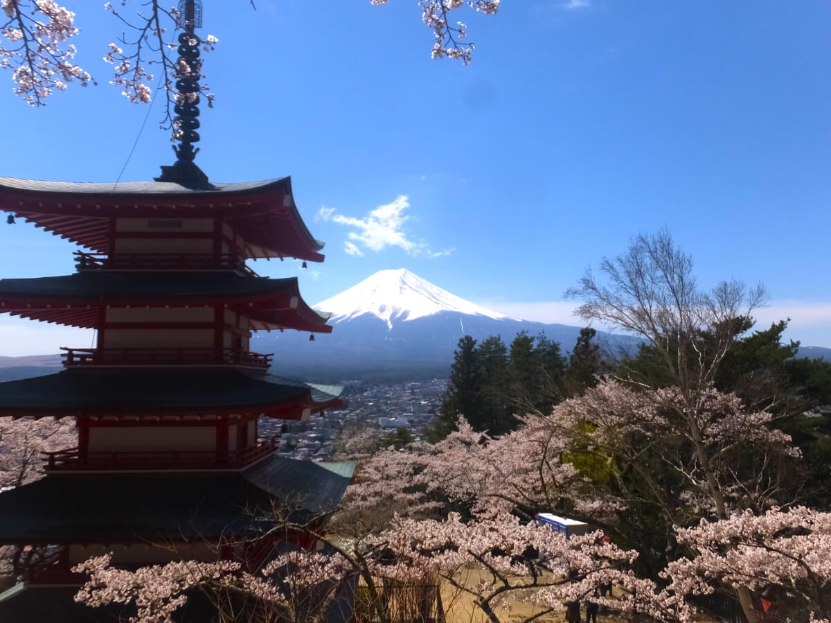 忠霊塔と富士山と桜
