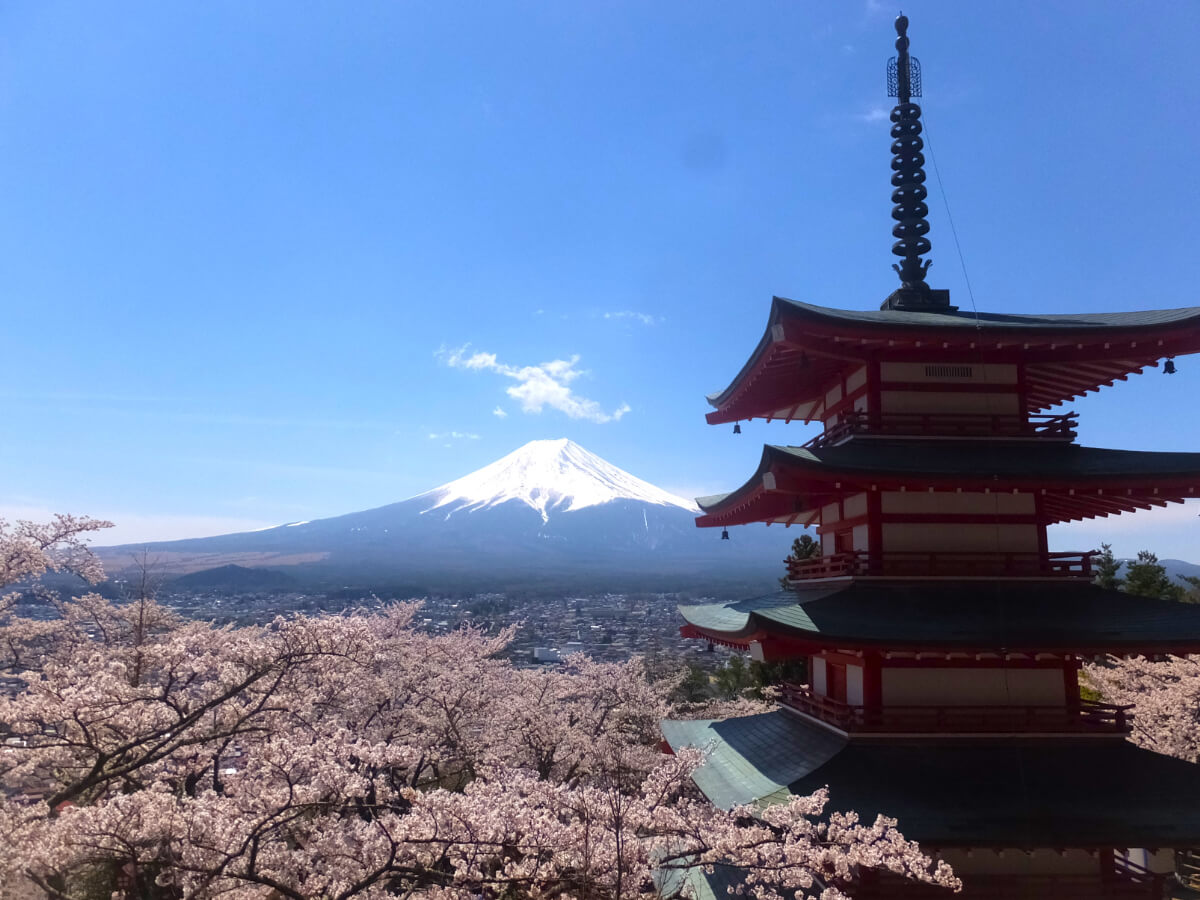 忠霊塔と富士山と桜