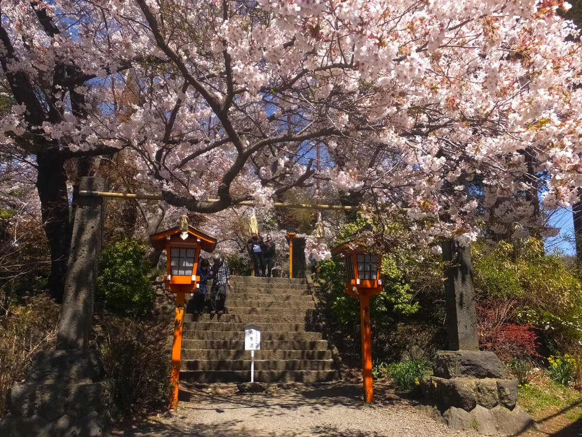 参道
