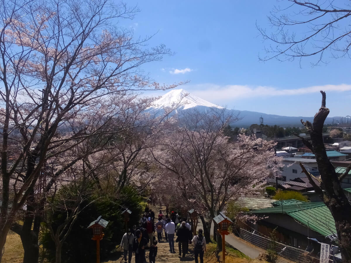 参道