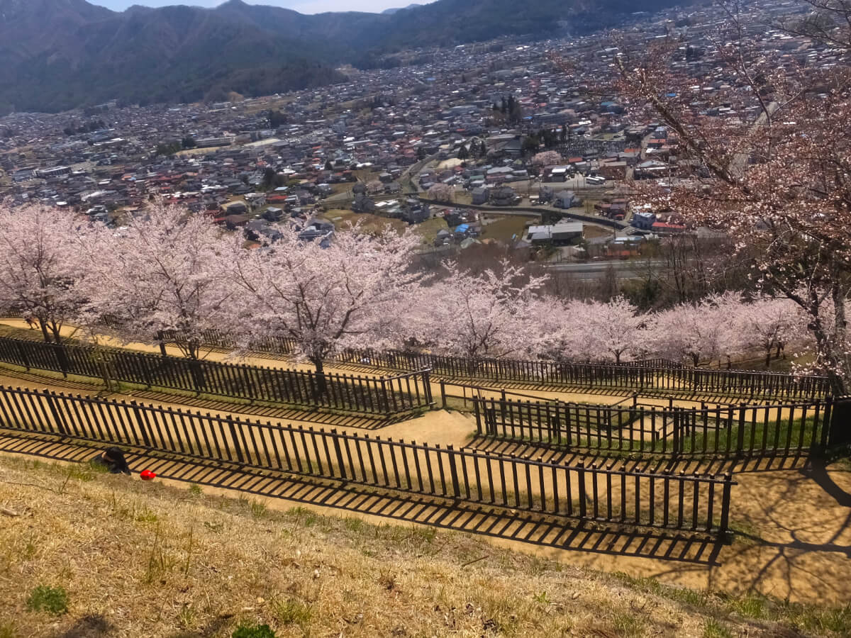 緩やかな遊歩道
